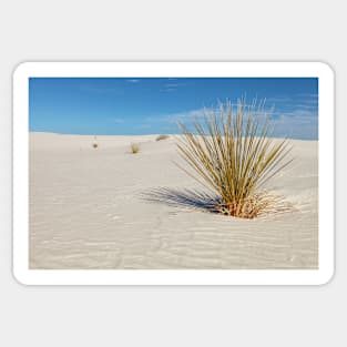 Yucca at White Sand Sticker